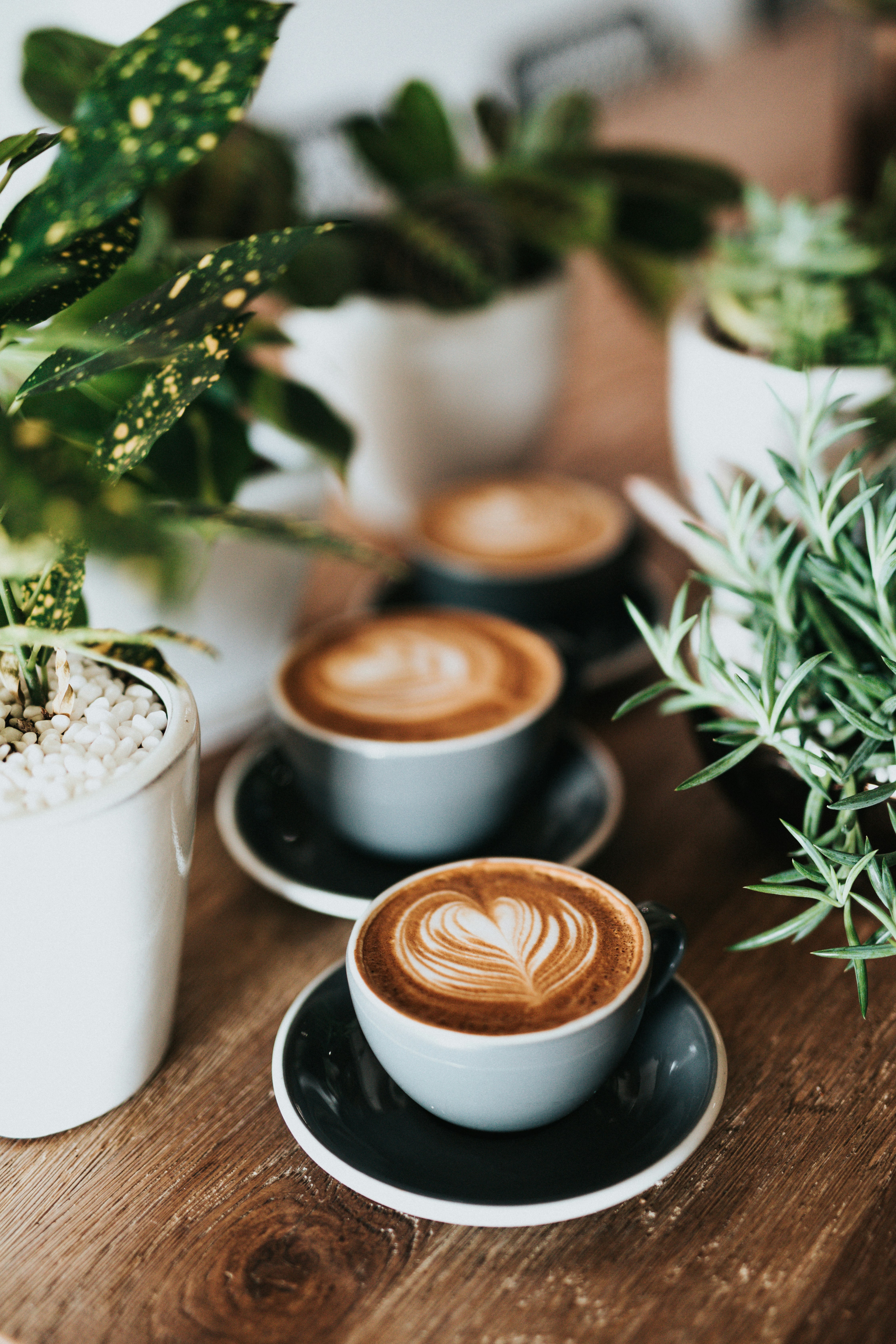 Cafézinhos